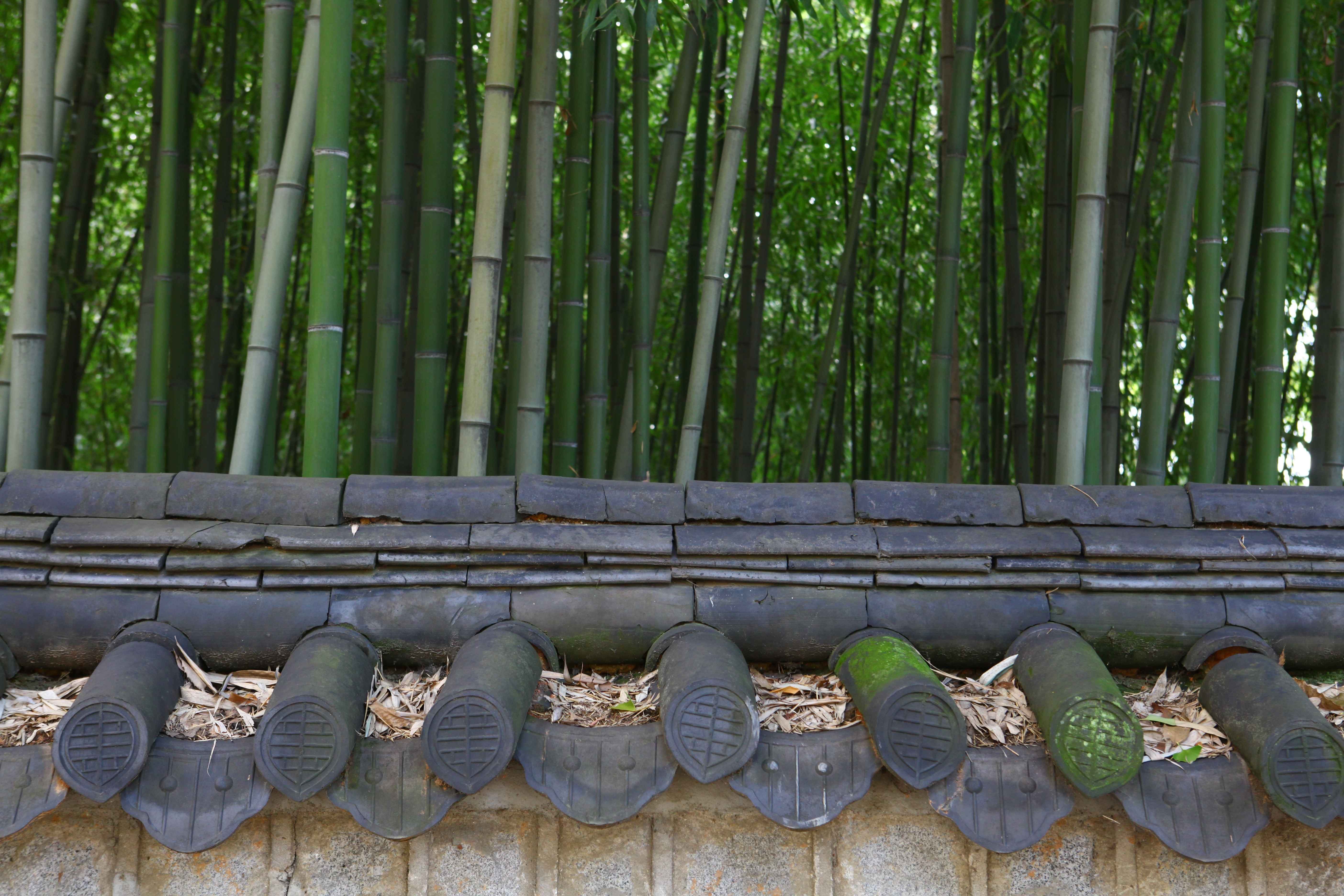 Jeonju gallery 3